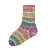 rainbow 3193
