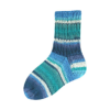 Rellana Garne - Flotte Socke 4ply Papagei