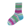 Rellana Garne - Flotte Socke 4ply Papagei