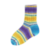 Rellana Garne - Flotte Socke 4ply Papagei