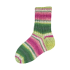 Rellana Garne - Flotte Socke 4ply Papagei