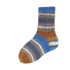 Rellana Garne - Flotte Socke 4ply Papagei