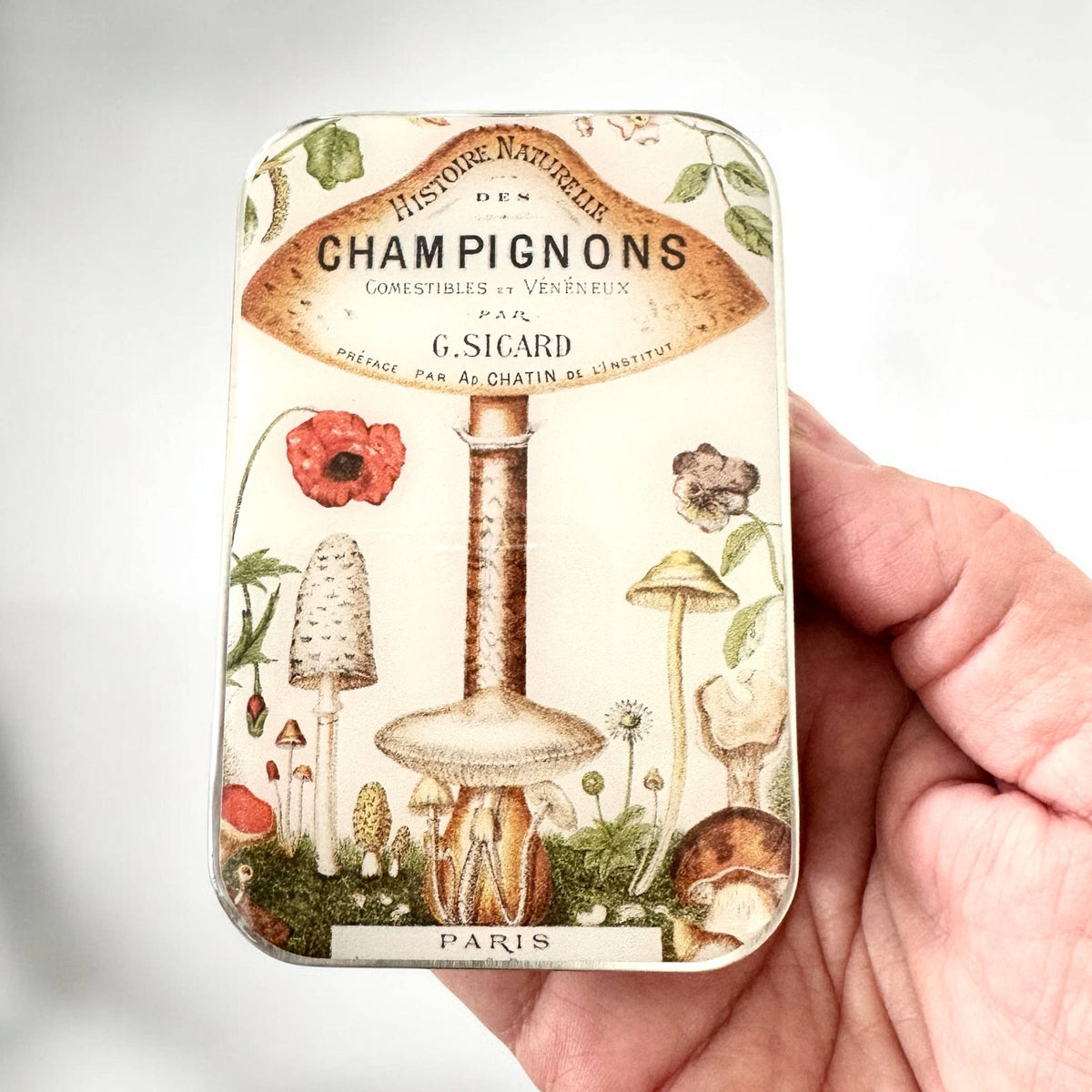 Firefly Notes - Vintage Mushroom Notions Tin – Parisian Forest Edition