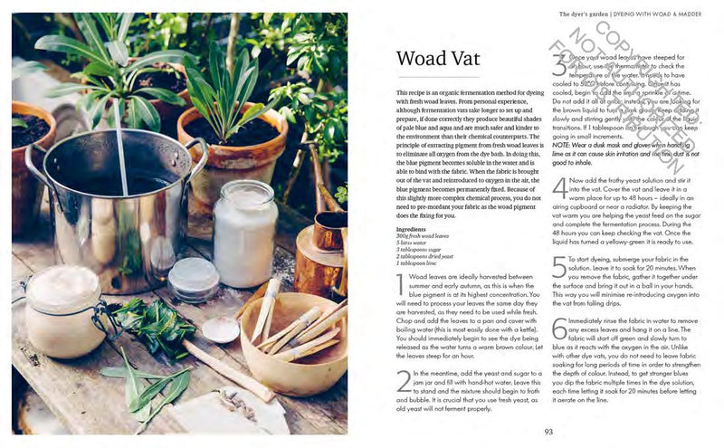 Abigail Booth - The Wild Dyer A Maker's Guide to Natural Dyes with Projects to Create and Stitch