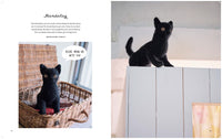 Mieko Shindo - Crochet Your Own Cat 12 Life-Size Amigurumi Kitties to Make and Love