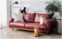 Mieko Shindo - Crochet Your Own Cat 12 Life-Size Amigurumi Kitties to Make and Love