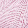 Rose 03