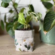 Un chat dans l'aiguille - Louise basket (Code: C-09950)