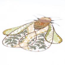 Un chat dans l'aiguille - Chantal the cicada (Code: C-215202503003)