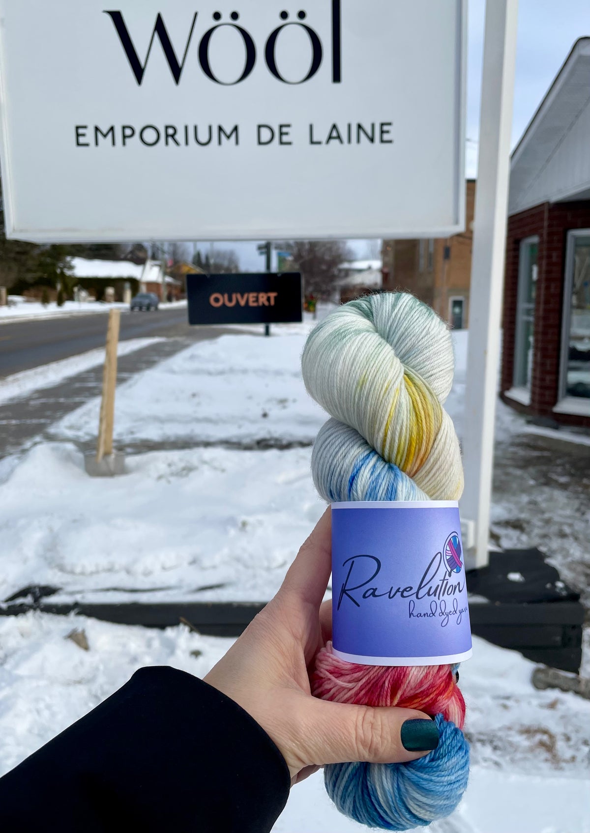 Ravelution Hand dyed Yarns - Winter Sock Yarn Collection 2026