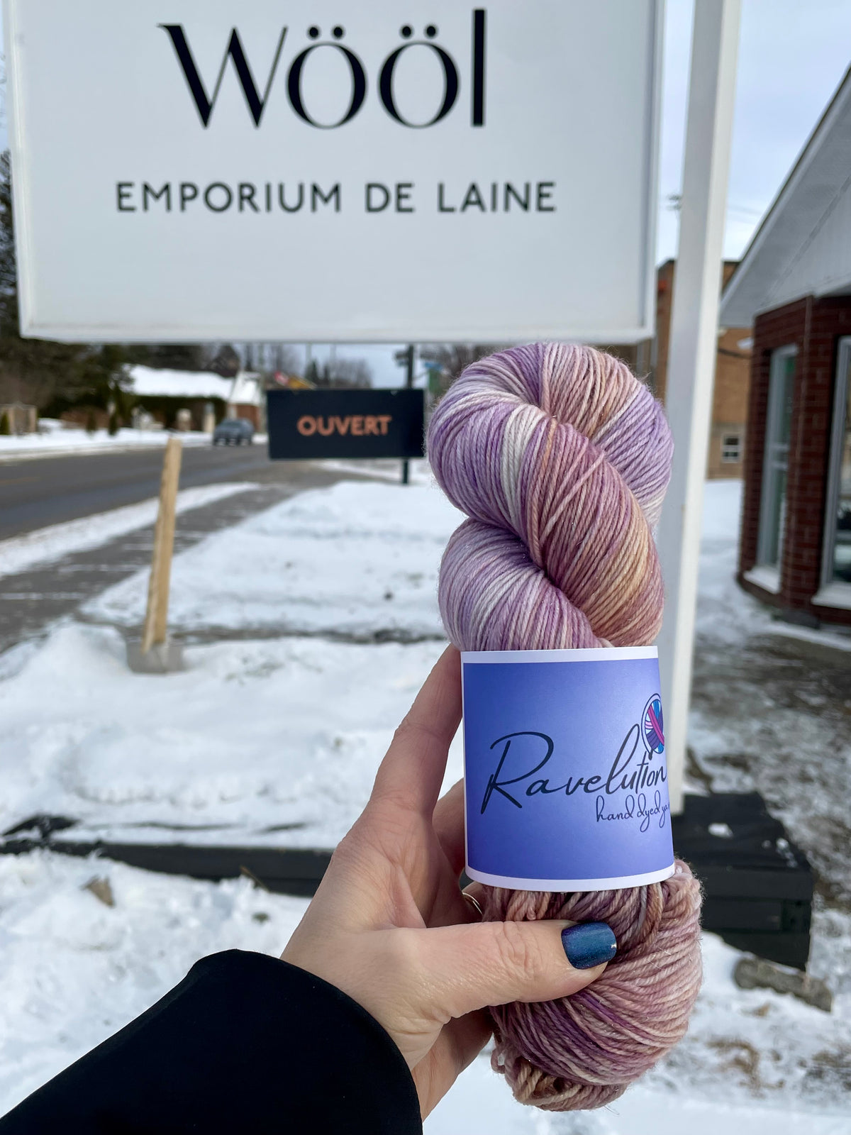 Ravelution Hand dyed Yarns - Winter Sock Yarn Collection 2026