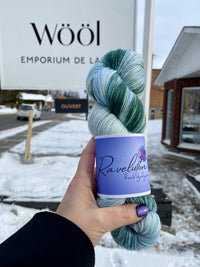 Ravelution Hand dyed Yarns - Winter Sock Yarn Collection 2026