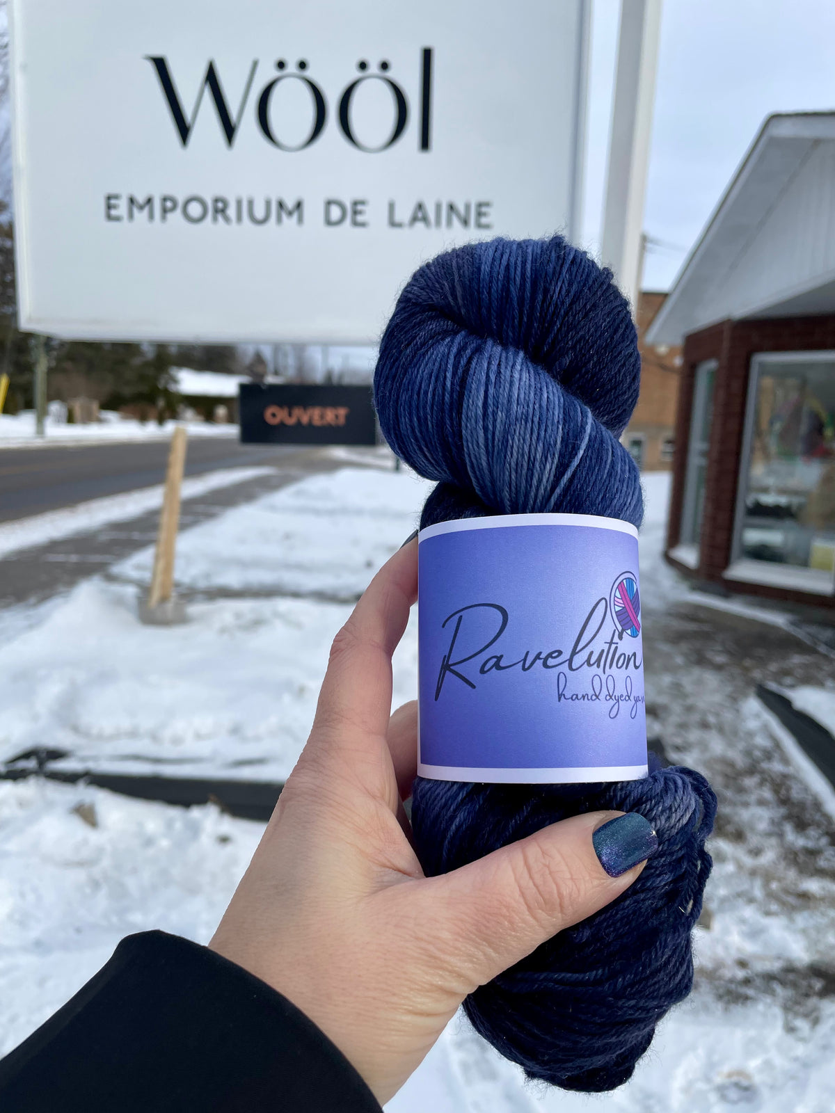 Ravelution Hand dyed Yarns - Winter Sock Yarn Collection 2026