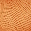 Lana Gatto  - Cashcot Bio (Organic Cotton & Cashmere)