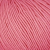 Lana Gatto  - Cashcot Bio (Organic Cotton & Cashmere)