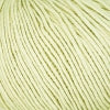 Lana Gatto  - Cashcot Bio (Organic Cotton & Cashmere)