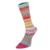 Estelle Yarns - Evolution Celebration Sock