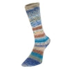 Estelle Yarns - Evolution Celebration Sock