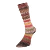 Estelle Yarns - Evolution Celebration Sock