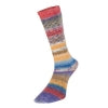 Estelle Yarns - Evolution Celebration Sock