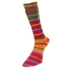 Estelle Yarns - Evolution Stripe Sock