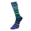 Estelle Yarns - Evolution Stripe Sock
