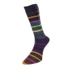Estelle Yarns - Evolution Stripe Sock