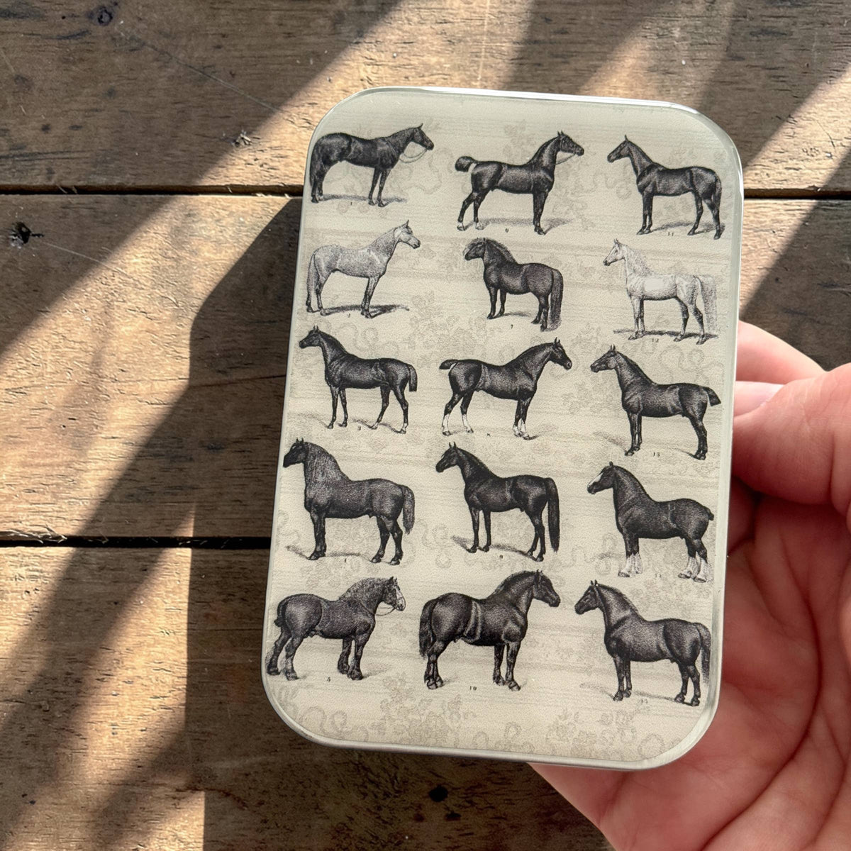 Firefly Notes - Study of Horses Notions Tin