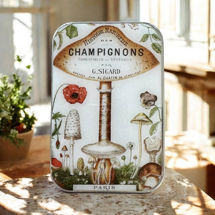 Firefly Notes - Vintage Mushroom Notions Tin – Parisian Forest Edition