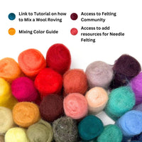 Woolbuddy - Eco Wool Fibre Collection Kit – 40 or 60 Colors - for spinning and felting