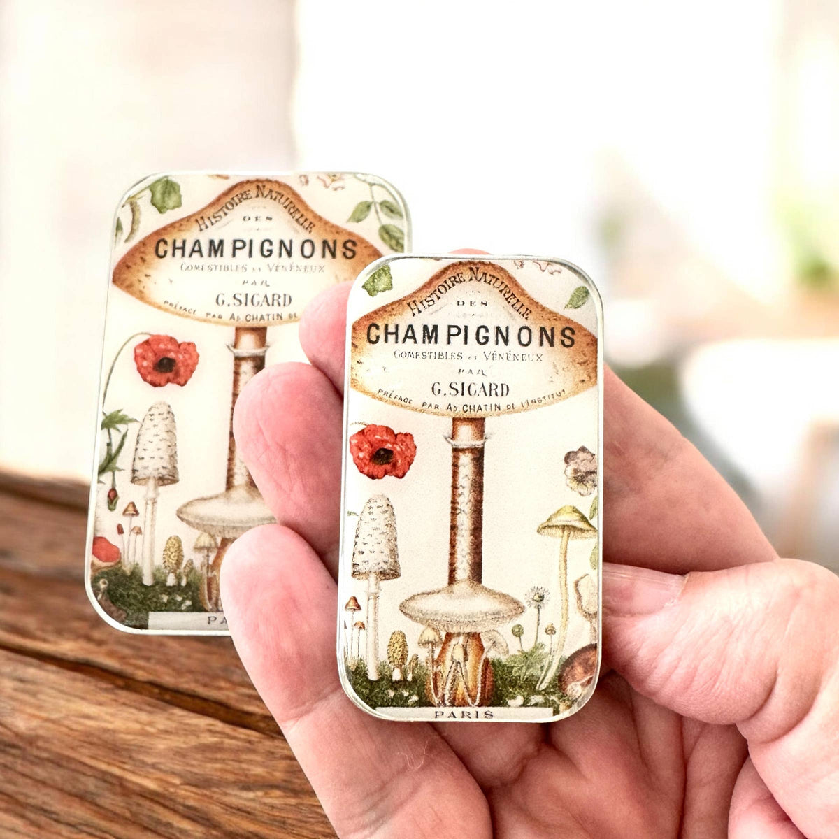 Firefly Notes - Vintage Mushroom Notions Tin – Parisian Forest Edition