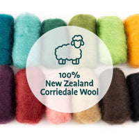 Woolbuddy - DIY Needle Felting Dinosaur Kit – Craft 4 Dino Friends