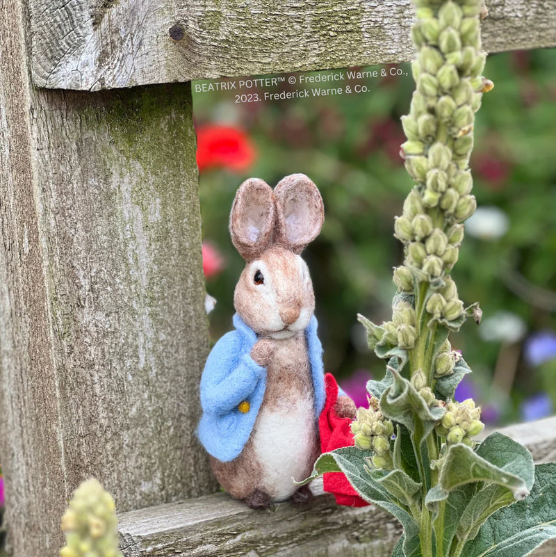 Crafty Kit Company - Beatrix Potter Needle Felting Kits