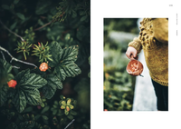 Annika Konttaniemi - Arctic Knitting – The Magic of Nature and Colourwork