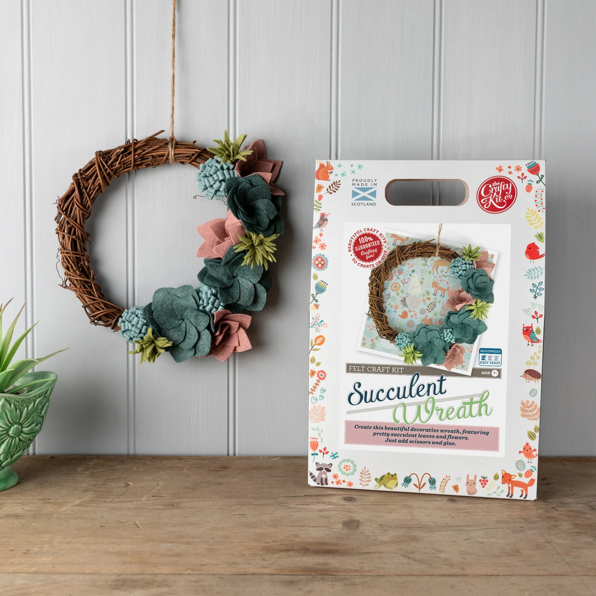 the felt succulent crafting kit Felting Kit