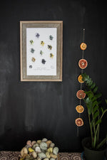 Sunflower Knit - Plantes à teinture naturelle illustrées (affiche)