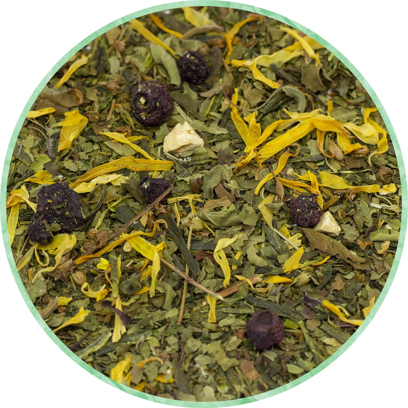 Les thés bon thé divine - Concentration / Focus